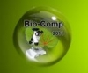 Первая Международная научно-практическая конференция «Компьютерная биология - 2011»